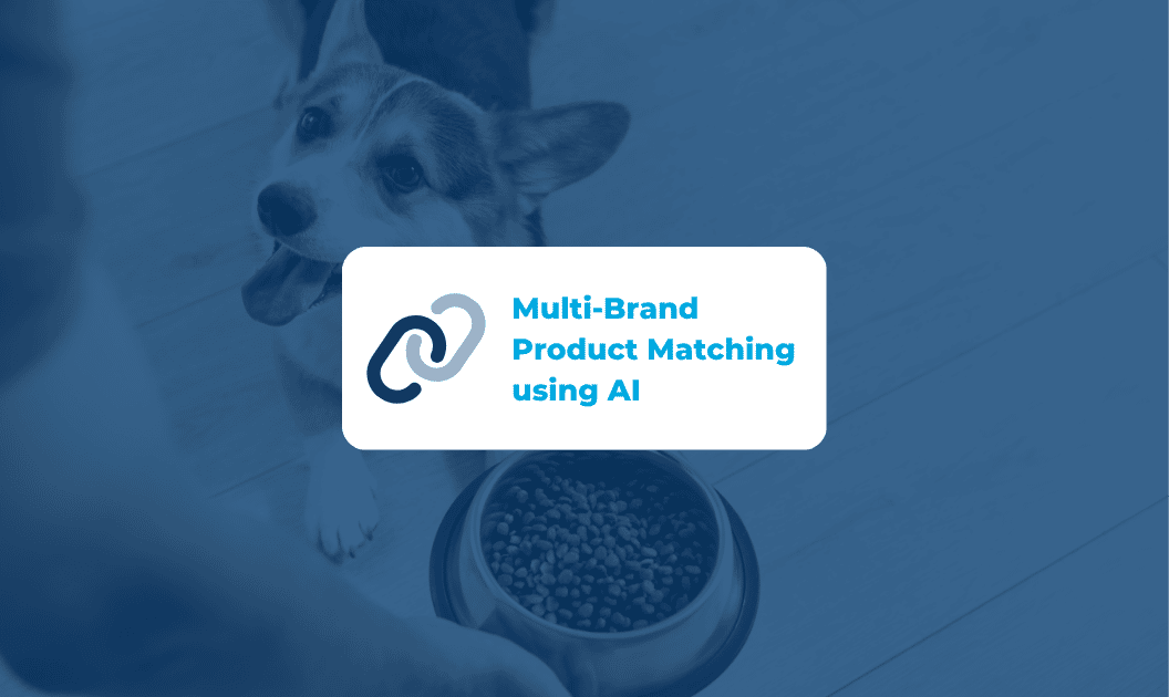 Multi-Brand Product Matching for Complex Catalogs - use case