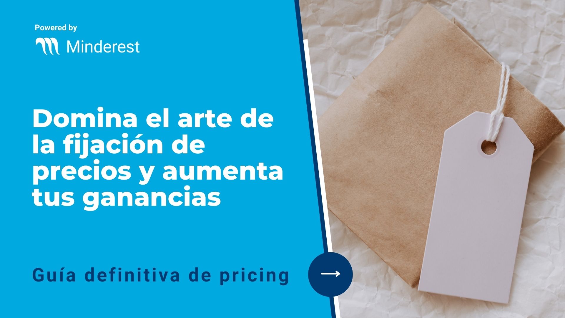 Portada_Guia_Domina-el-arte-de-la-fijacion-de-precios_Minderest